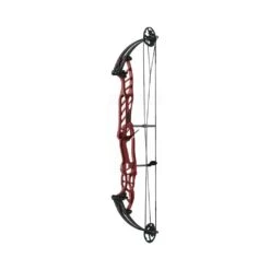 Hoyt Stratos 40 SVX Compound Bows -Arrow Vantage Store 40svxred 2