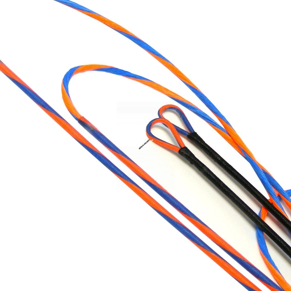 Reign Hoyt Hyper ZT Cam - 4 Piece Set 1 Reign Hoyt Hyper ZT Cam - 4 Piece Set