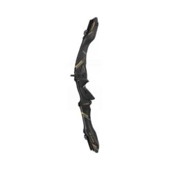 Win & Win Wiawis TFT-G Recurve Riser -Arrow Vantage Store tftgblackgold 2